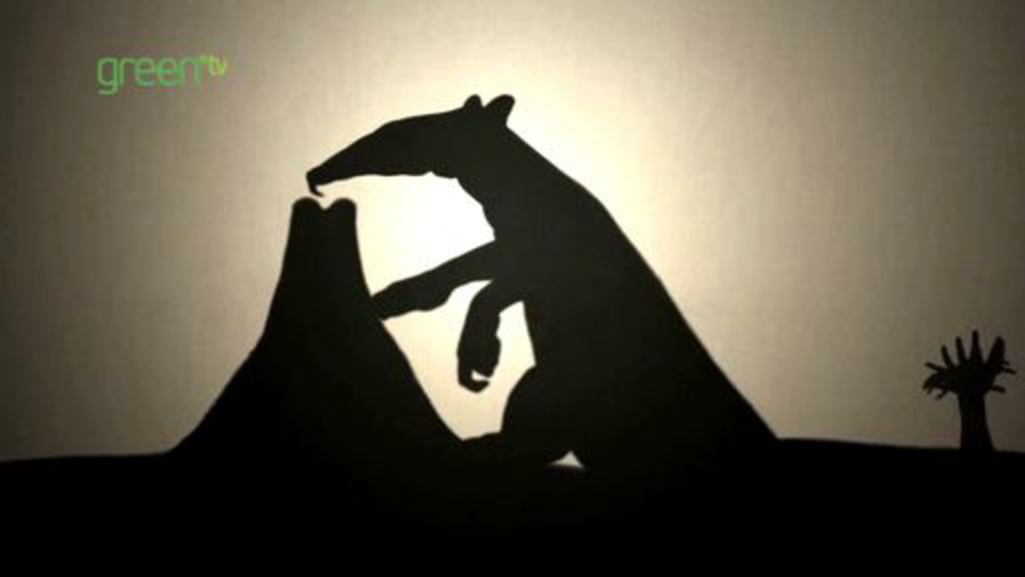 影絵で映すサバンナの生物多様性 Sdgs Tv 影絵で映すサバンナの生物多様性 Sdgs Tv